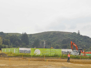 Works at Happy Valley’s doomed milk plant project in Otorohanga stopped after the company ran out of cash