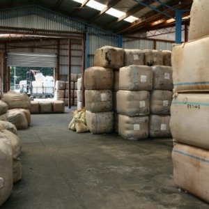 Wool market loses ground