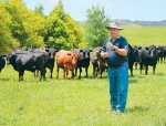 Mixed pasture pleases