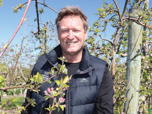 Cyclone Gabrielle: Hawke's Bay Orchardists Still Recovering