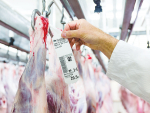 Red meat exports achieve record April