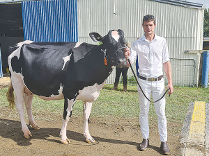 Shayne Caird with Rau Roa Solomon Patsy VG88.