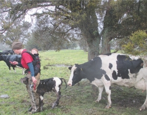 App gives farmers more insight