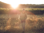 Jules Taylor Wines partners with WOW