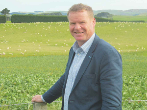 Rabobank NZ chief executive Todd Charteris.