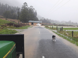 More than a metre of rain fell over four days in parts of the Nelson region, while parts of Rai Valley in Marlborough recorded similar falls. Photo Credit: Justin Morrison
