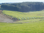 Anti winter grazing activist says regional councils aren't doing enough to rope in those he claims are breaching winter grazing rules in the South Island.