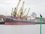 A file picture of MV Molat, caught up in the PKE shipment saga at Tauranga Port.