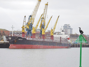 A file picture of MV Molat, caught up in the PKE shipment saga at Tauranga Port.