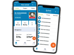 Flockwatch allows sheep to manage their flock in a simple and easy to use app, will have its NZ launch at Fieldays.