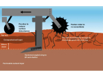 Subsoiling vs Drainage: Fixing Wet Paddocks This Spring