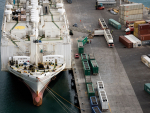 The Government has decided not to reinstate live animal exports by sea. Photo Credit: SAFE