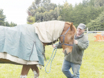 New Zealand Agriculture Show president and successful show jumping competitor Chris Harris.