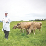 Jersey milk set to cream the market