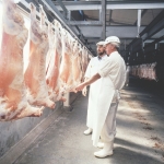 Rich Chinese potential outlet for NZ lamb