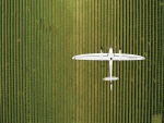 Birds&#039; Eye: Drone surveillance in vineyards