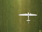 Birds' Eye: Drone surveillance in vineyards