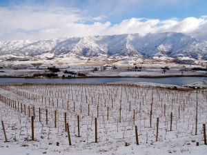 Wine Weather: What's been going on?