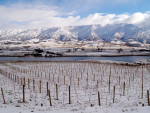 Wine Weather: What's been going on?