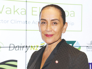 Traci Houpapa claims that Māori warrant special consideration, having come to the table with a long tail of deficit.