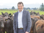 Beef+Lamb NZ chief executive Sam McIvor.