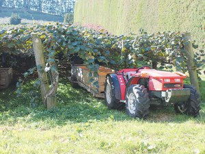 Kiwifruit case heads to court