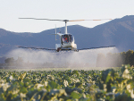 The EPA is seeking submissions on a proposal to ban chlorthal-dimethyl weedkillers.