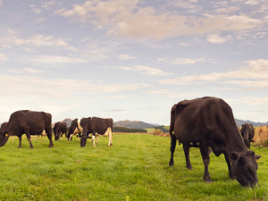 Climate Change workshops target dairy farmers