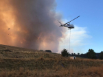 Through MPI, SPCA National Rescue Unit, Massey University, HUHANZ and others have held a significant field presence throughout the response. Photo: SPCA Nelson Facebook page.