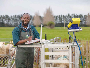 Massey PhD student Seer Ikurior will represent NZ in Germany in November promoting his research that aims to help sheep farmers sustainably control worms. Photo: Massey University.