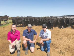 Beef producers Ryan and Elisha Willing with vet mentor Enoch Bergman.