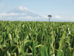What's the Value of Feed Security to Your System?