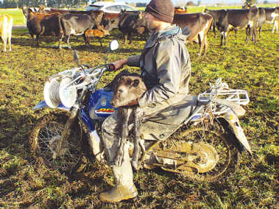 yamaha ag 125