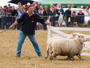 This year&#039;s Mackenzie Highland A&amp;P Show has been cancelled.