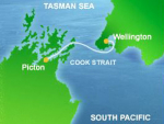 Cook Strait cattle movement face checks
