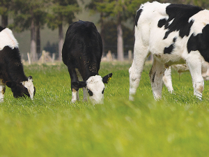 A Fonterra project, utilising home-grown emissions, is ready for on-farm trials.