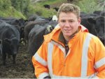 Treating grass like dollars in Hawkes Bay
