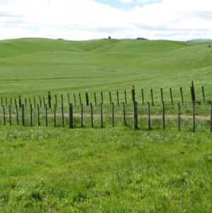 Benchmark price for Sth Hawke’s Bay farm 