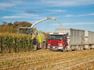 Now is a great time to ensure you are ready for maize silage harvest. 