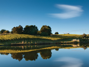 Aronui Wines