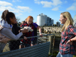 Mary Holmes shows students a newborn lamb.