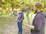 Ethan England, right, and Biostart chief executive Dr Jerome Demmer, left, assess vines at an Armillaria trial orchard.