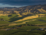 Marlborough Wine Explores Subregional Identity with Drone Mapping Innovation