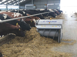 Feed robot boosts yield, saves costs