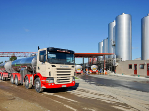 Westland Milk&#039;s $3.3 million profit before tax comes because of the decision to retain five cents. 