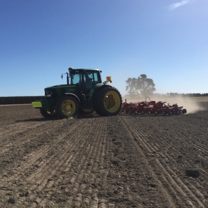 Planting a crop of fodder beet for harvest at the Field Days 