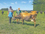Herd about the 110% milk solids/liveweight goal?