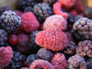 The disease must have been in the berries through human waste – either through a handler, irrigation or contaminated water used in processing.