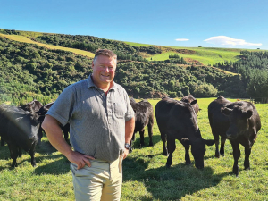 Mohawk to acquire NZ carpet maker Bremworth