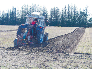 Mark Dillon competes in the 2017 NZ Ploughing Championships at Courtenay, Canterbury. Rural News Group.